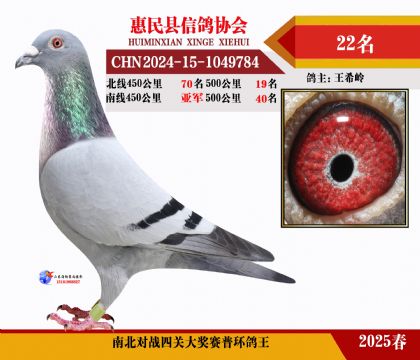 南北對(duì)決普環(huán)四關(guān)鴿王22名