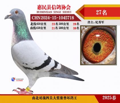 南北對(duì)決普環(huán)四關(guān)鴿王27名