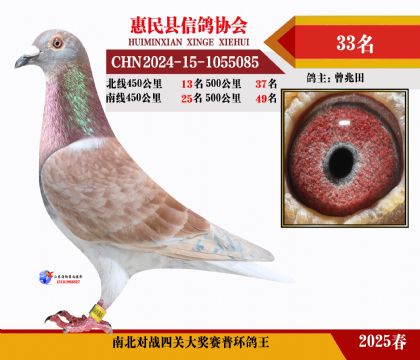 南北對(duì)決普環(huán)四關(guān)鴿王33名