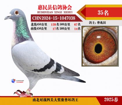 南北對(duì)決普環(huán)四關(guān)鴿王35名