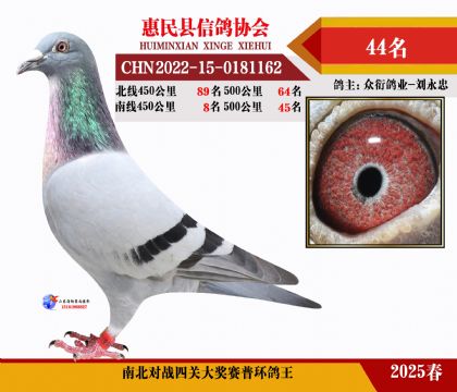 南北對(duì)決普環(huán)四關(guān)鴿王44名