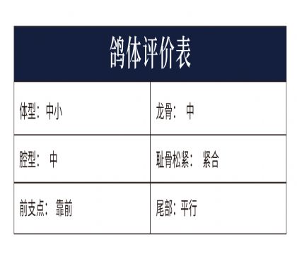 0550328yu