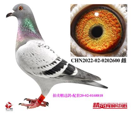uٛ