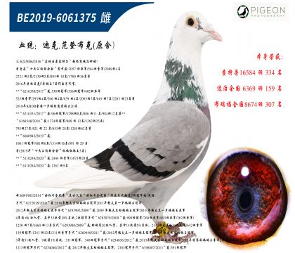 未命名