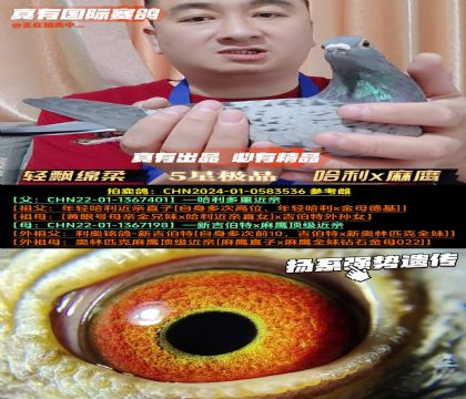 phdᡷx