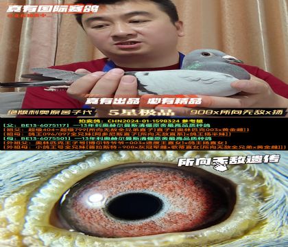 ^WԭӴ908xoxP