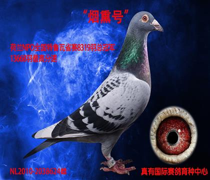 Ѭ̖(ho)