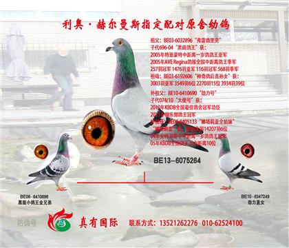 游