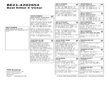Ѫy(tng)