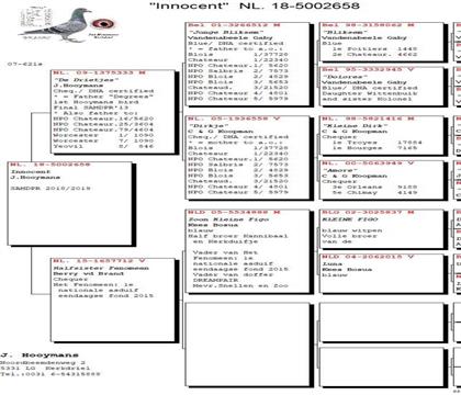 Ѫy(tng)