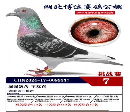 _(d)(zhn)ِ7