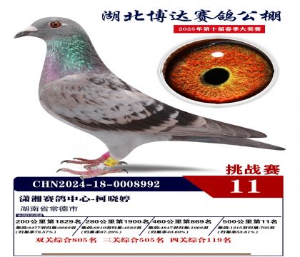 _(d)(zhn)ِ11