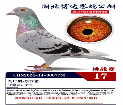 _(d)(zhn)ِ17