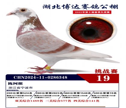 _(d)(zhn)ِ19