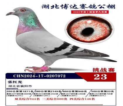 _(d)(zhn)ِ23