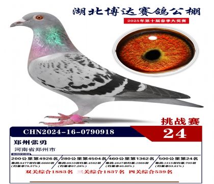 _(zhn)ِ24