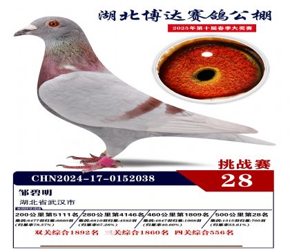 _(zhn)ِ28