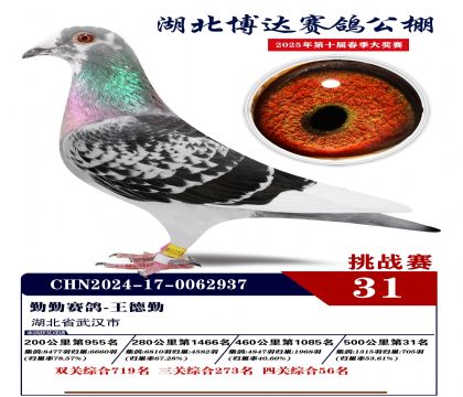_(d)(zhn)ِ31