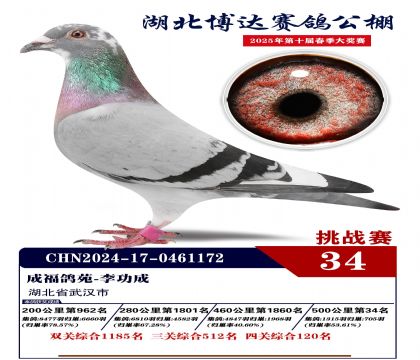 _(d)(zhn)ِ34