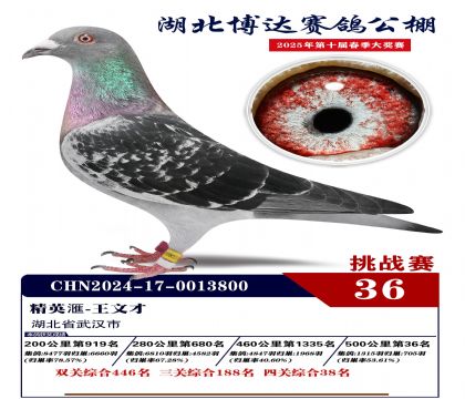 博達(dá)春棚挑戰(zhàn)賽36名