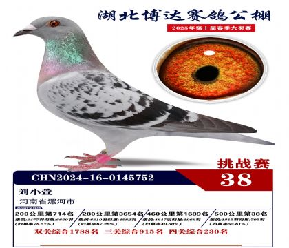 _(d)(zhn)ِ38