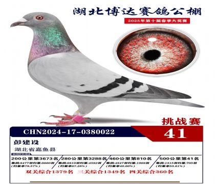 _(zhn)ِ41
