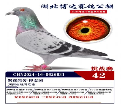 _(d)(zhn)ِ42