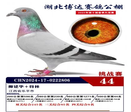 _(d)(zhn)ِ44