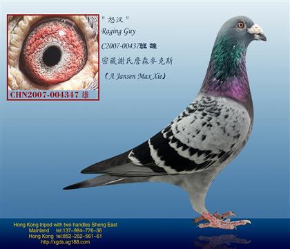 游