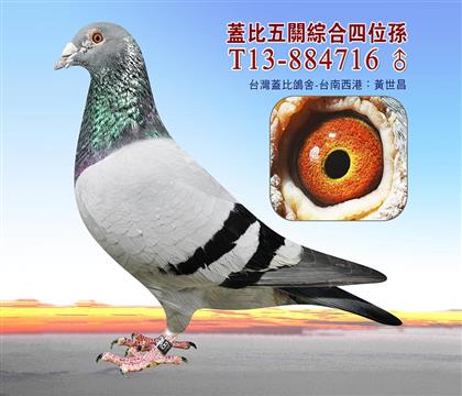 游
