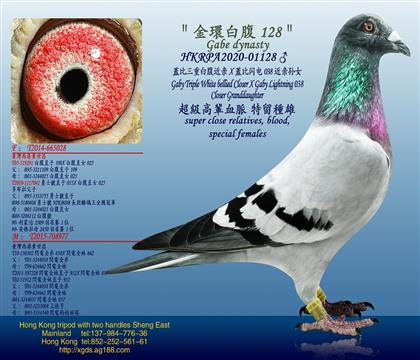 游