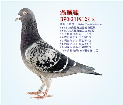 u݆̖