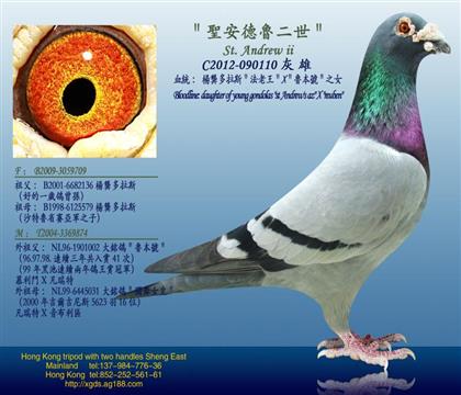 游