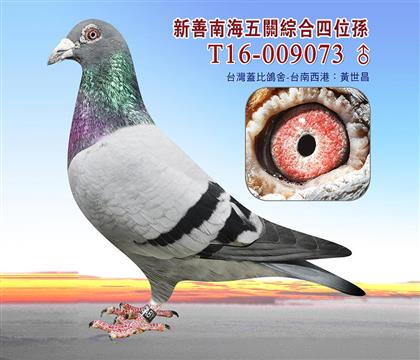 游