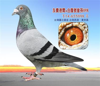 游
