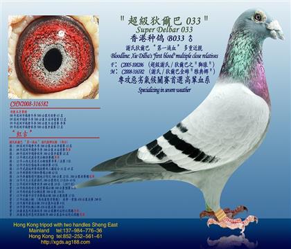 游