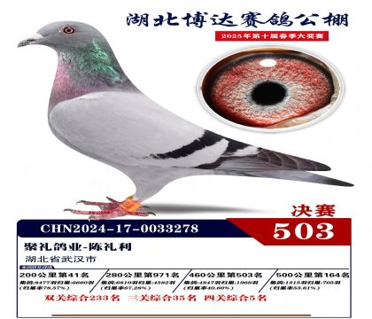 博達春棚決賽503名
