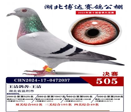 博達春棚決賽505名