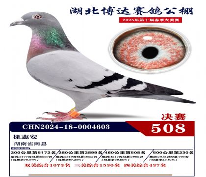博達春棚決賽508名