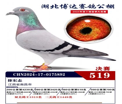 博達春棚決賽519名
