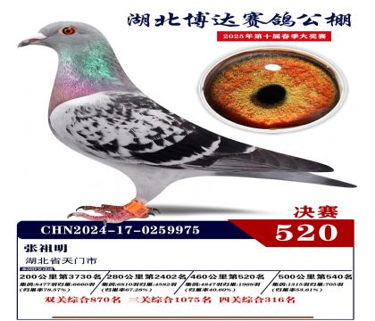 博達春棚決賽520名