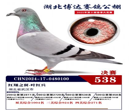 博達春棚決賽538名