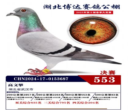 博達春棚決賽553名