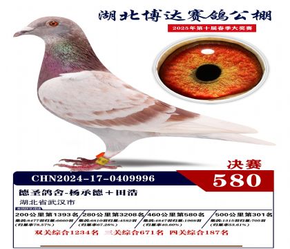 博達春棚決賽580名