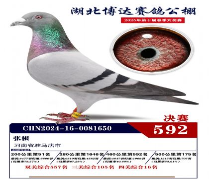 博達春棚決賽592名