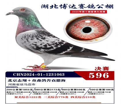 博達春棚決賽596名
