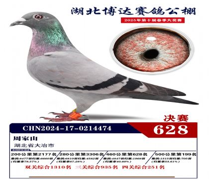博達春棚決賽628名