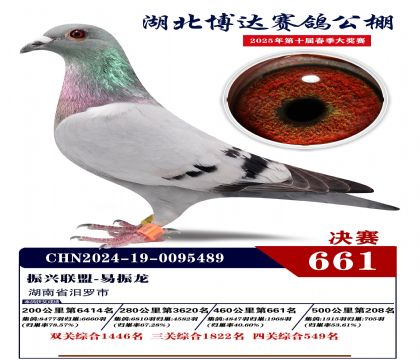 博達春棚決賽661名