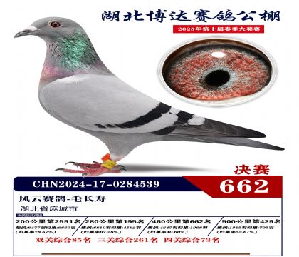博達春棚決賽662名