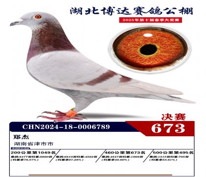 博達春棚決賽673名